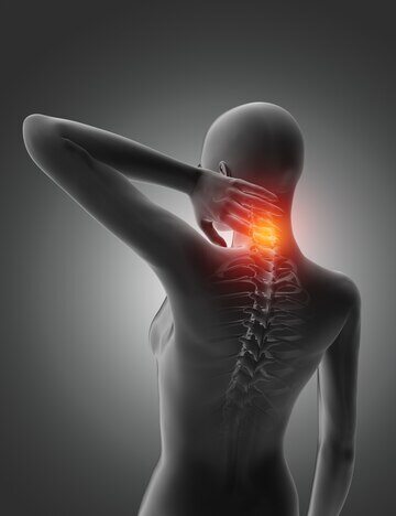 3d-female-medical-figure-with-neck-back-bones-highlighted_1048-10397